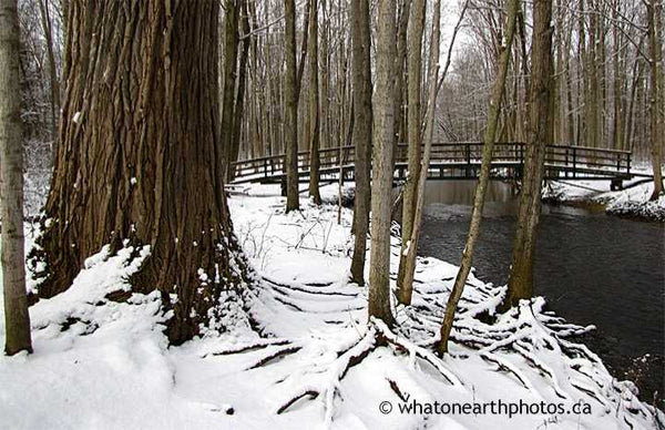 Coldstream Conservation Area winter, Ontario
