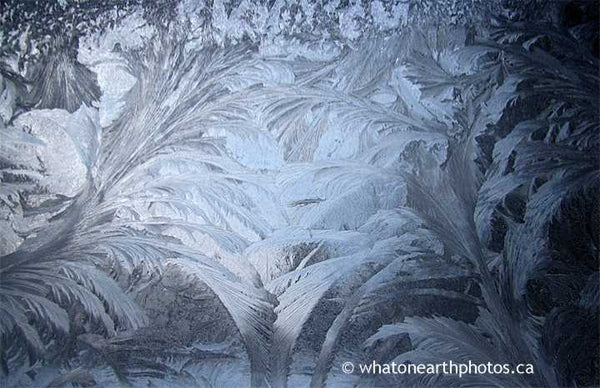 kitchen window frost, Ailsa Craig, Ontario