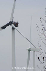 observing a burned wind turbine, Huron County, Ontario