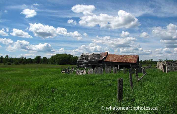 farm ruins, Kawartha Lakes, Ontario