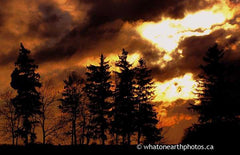 sunrise imitating a forest fire, Ailsa Craig, Ontario