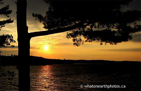 sunrise on Oastler Lake, Ontario