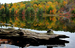 fall colour, Bon Echo Provincial Park, Ontario