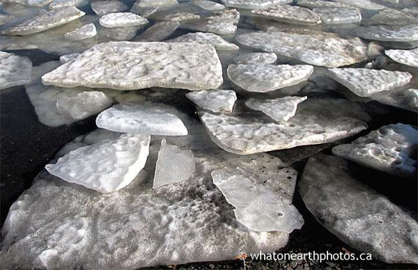 levitating ice on Lake Huron, Kettle Point, Ontario