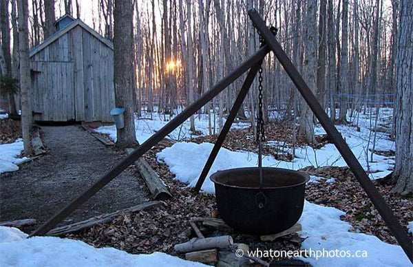 old-fashioned maple syrup kettle, Ontario