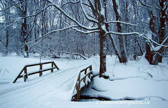 snowy trail in Ailsa Craig, Ontario