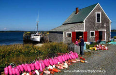 painting buoys, Grand Manan, New Brunswick