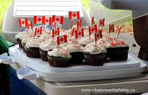 celebrating Canada Day, Ontario