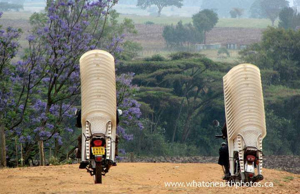how to transport 40 chairs, Kenya