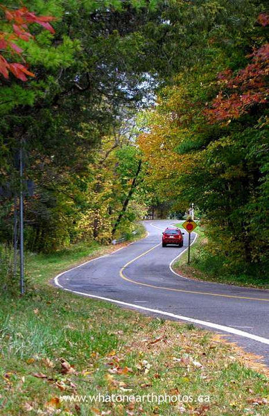 winding road, Niagara Region, Ontario