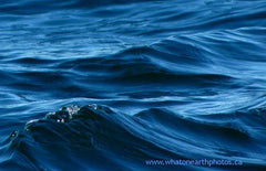 waves within waves, Bay of Fundy